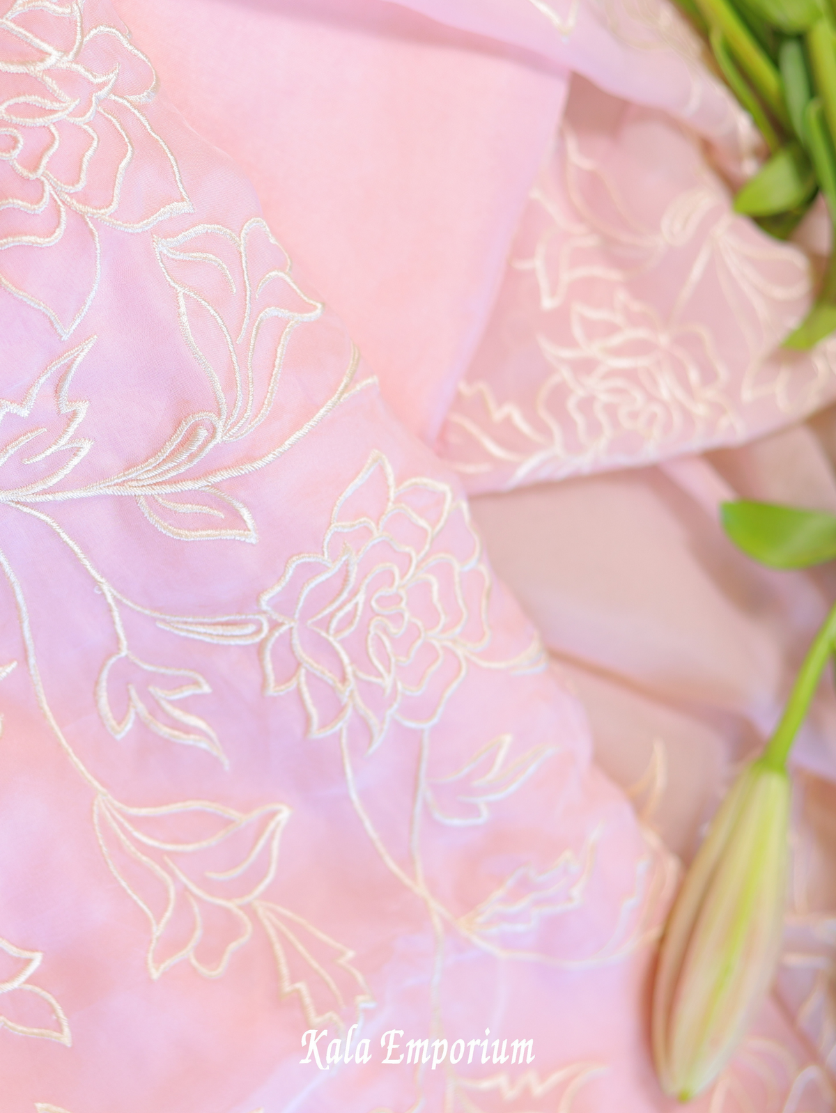 Pure Organza Suit & Dupatta With Intricate Thread Work, and Upadda Silk Bottom